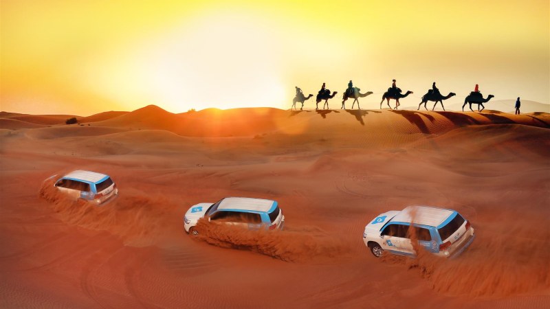 Dubai Desert Safaris Guaranteed Fun And Adventure